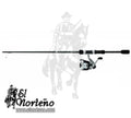 COMBO CAÑA DSH25-B/F662M DAIWA