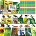 KIT INSECTOS 72