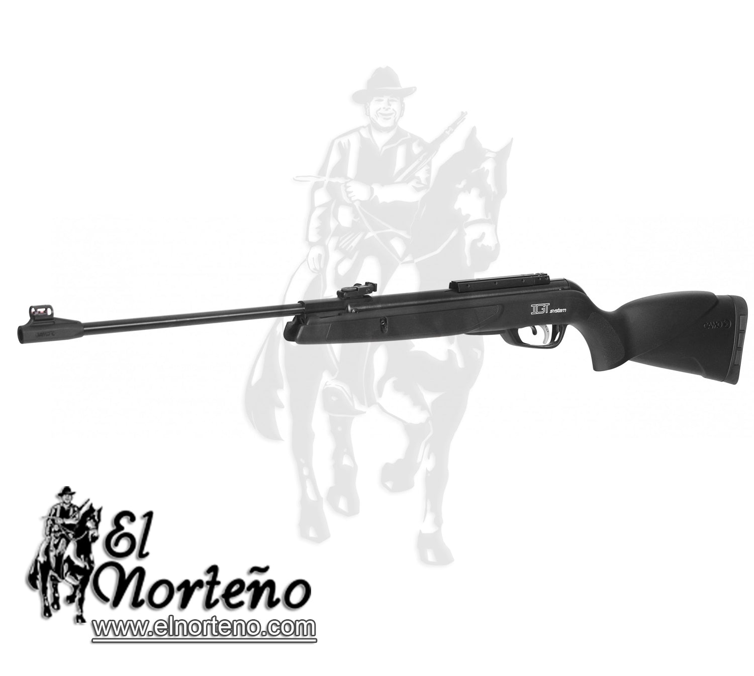 RIFLE GAMO BLACK 1000 GT CAL 5.5 6110029755-IGT