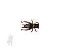 SEÑUELO BERKLEY GULP! ALIVE! CRICKET GAJCR1-CRBR