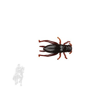 SEÑUELO BERKLEY GULP! ALIVE! CRICKET GAJCR1-CRBR