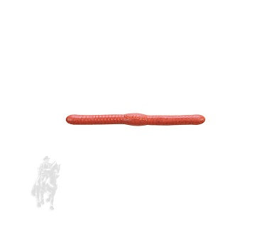 SEÑUELO BERKLEY GULP! FAT FLOATING TROUT WORM GHFFTW2-NAT