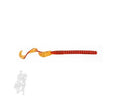 SEÑUELO BERKLEY POWERBAIT POWER WORMS PBBPW8-PS PB PWR 8.5IN PUMPKINSEED