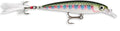 SEÃ‘UELO RAPALA XR04 BTR