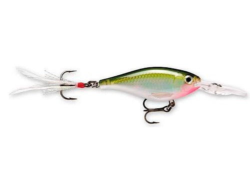 Carnada Rapala Xrs-8 Xrs08og X-rap Shad Olive Green