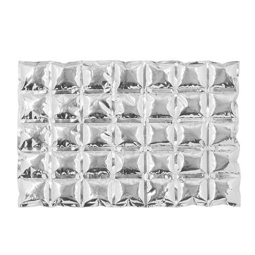 Hielo Coleman 2000019758 Chiller Ice