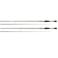 CAÃ‘A DAIWA AIRD X CASTING ROD 7 1020 LB 2 PC