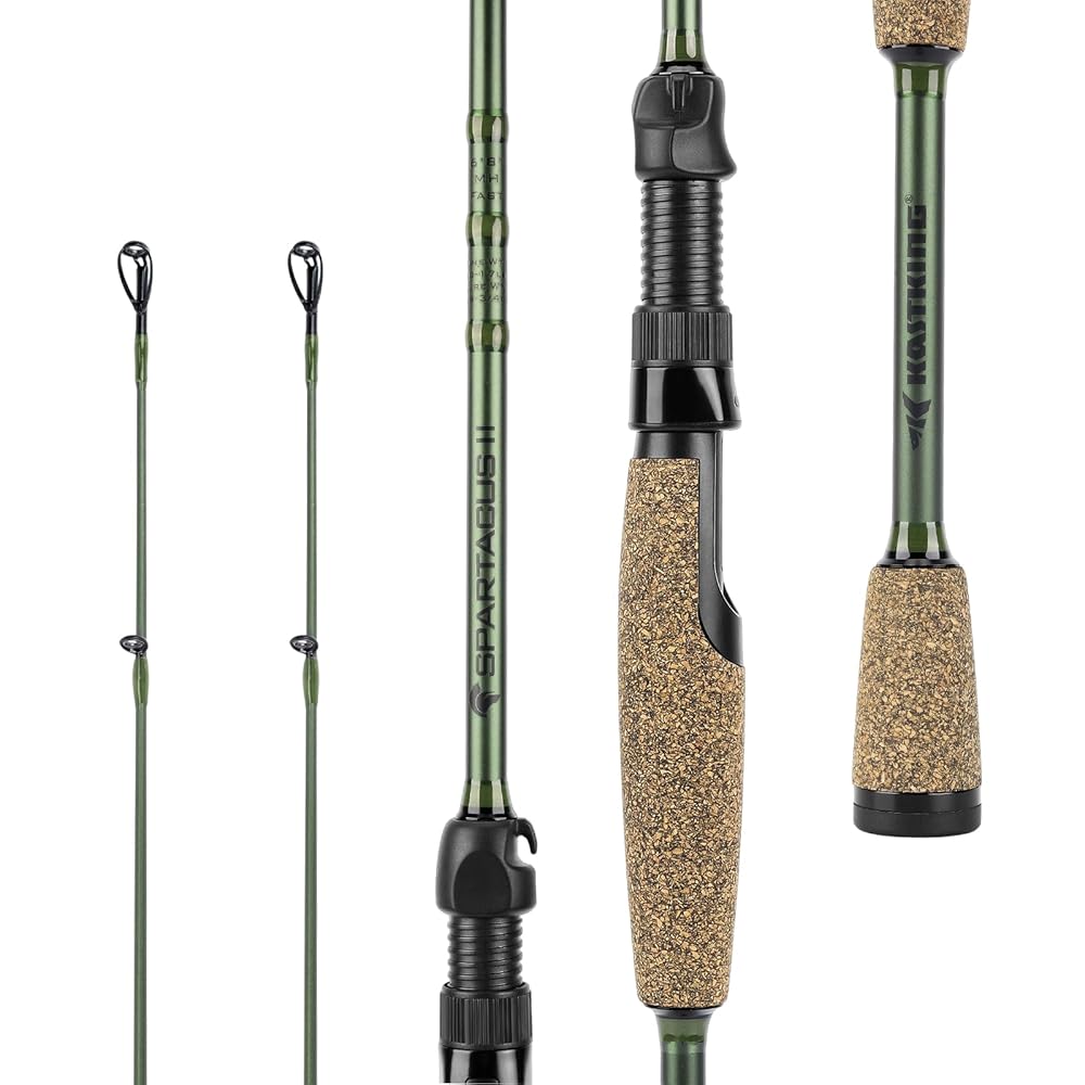 CAÃ‘A EC CRAFTED GLASS SPIN ROD 6 2 PC M