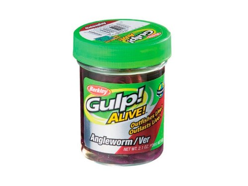 Carnada Berkley Gajaw-rwm Gulp Alive