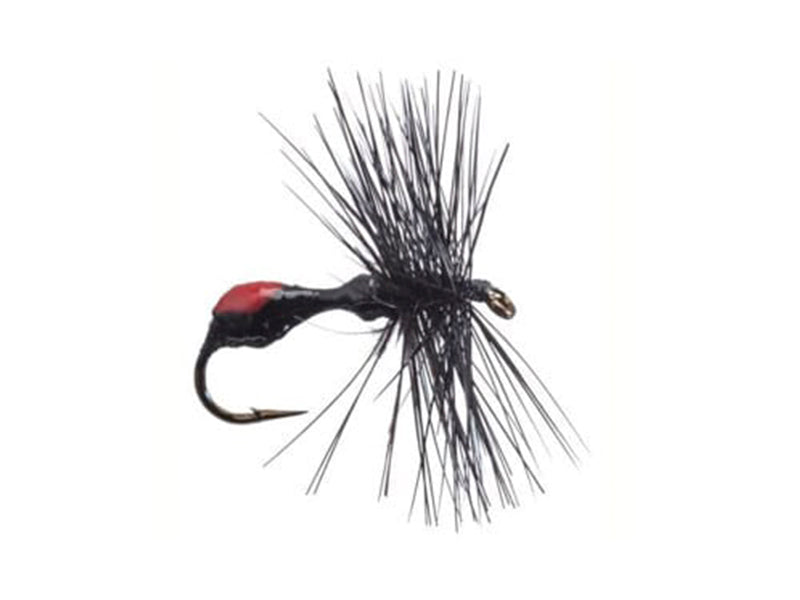 SEÑUELO MOSCA BETTS  PERFECT BLACK ANT PA-10-9