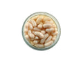 Carnada Berkley Gajmg-wh Gulp Alive