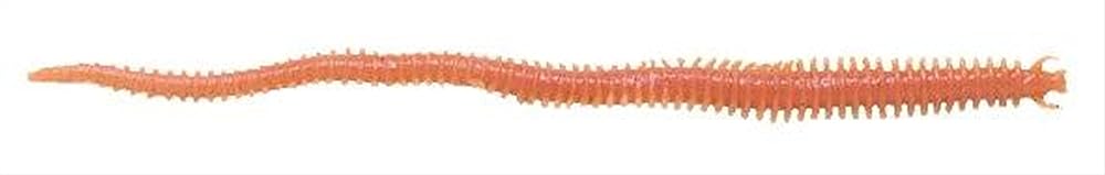 SEÃ‘UELO SEA STRIKER SSSW4NATURAL SCENTED SAND WORM 4, NATURAL, 18 PACK