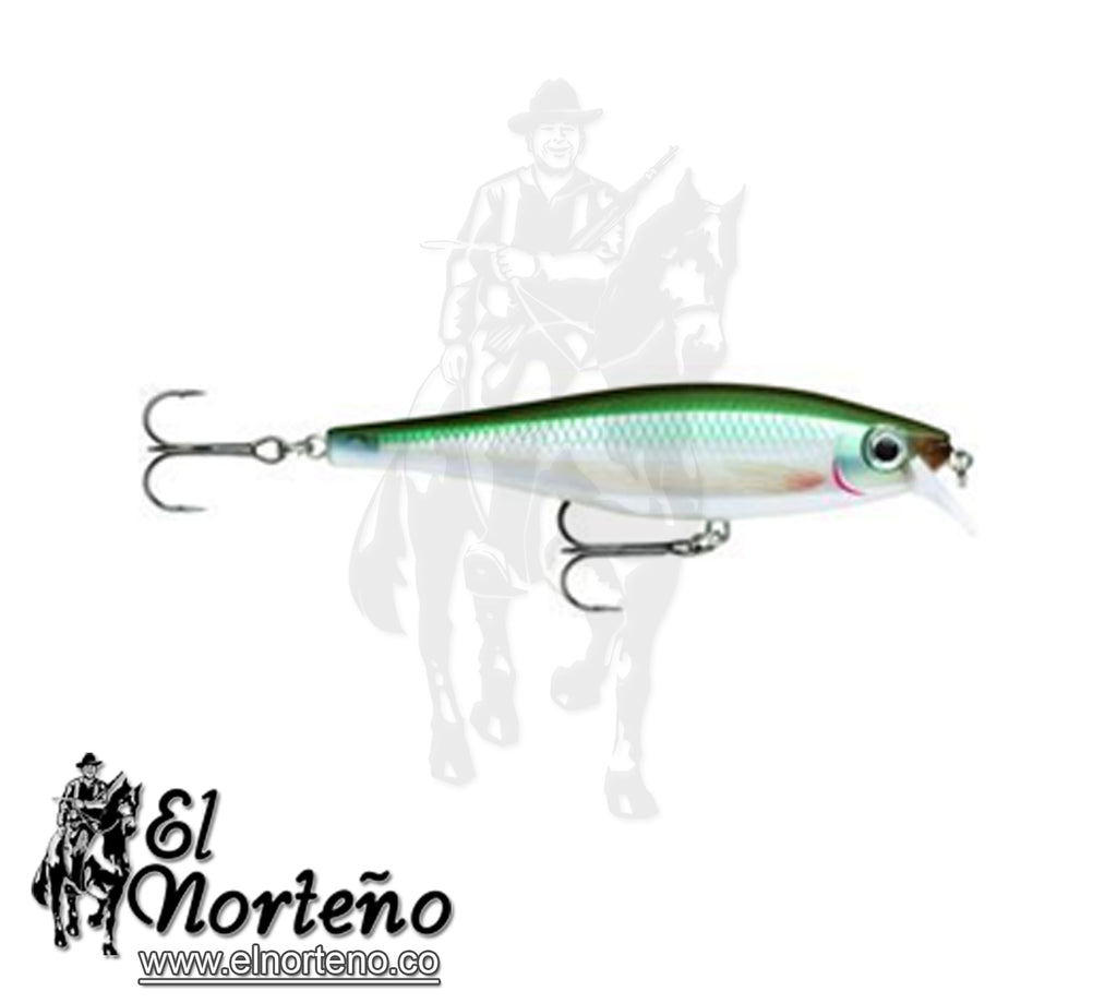 RAPALA BXM10BBH BX MINNOW