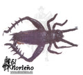 CARNADA 5148-22 CRÈME
